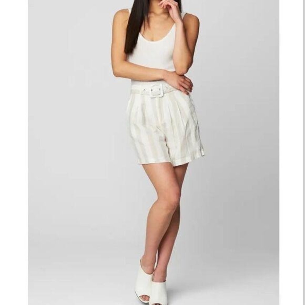 BLANKNYC Linen Shorts Womens 28 Striped High Waisted Belted Vacation Summer
